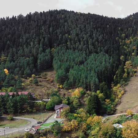 Holiday Borjomi Qvibisi 外观 照片