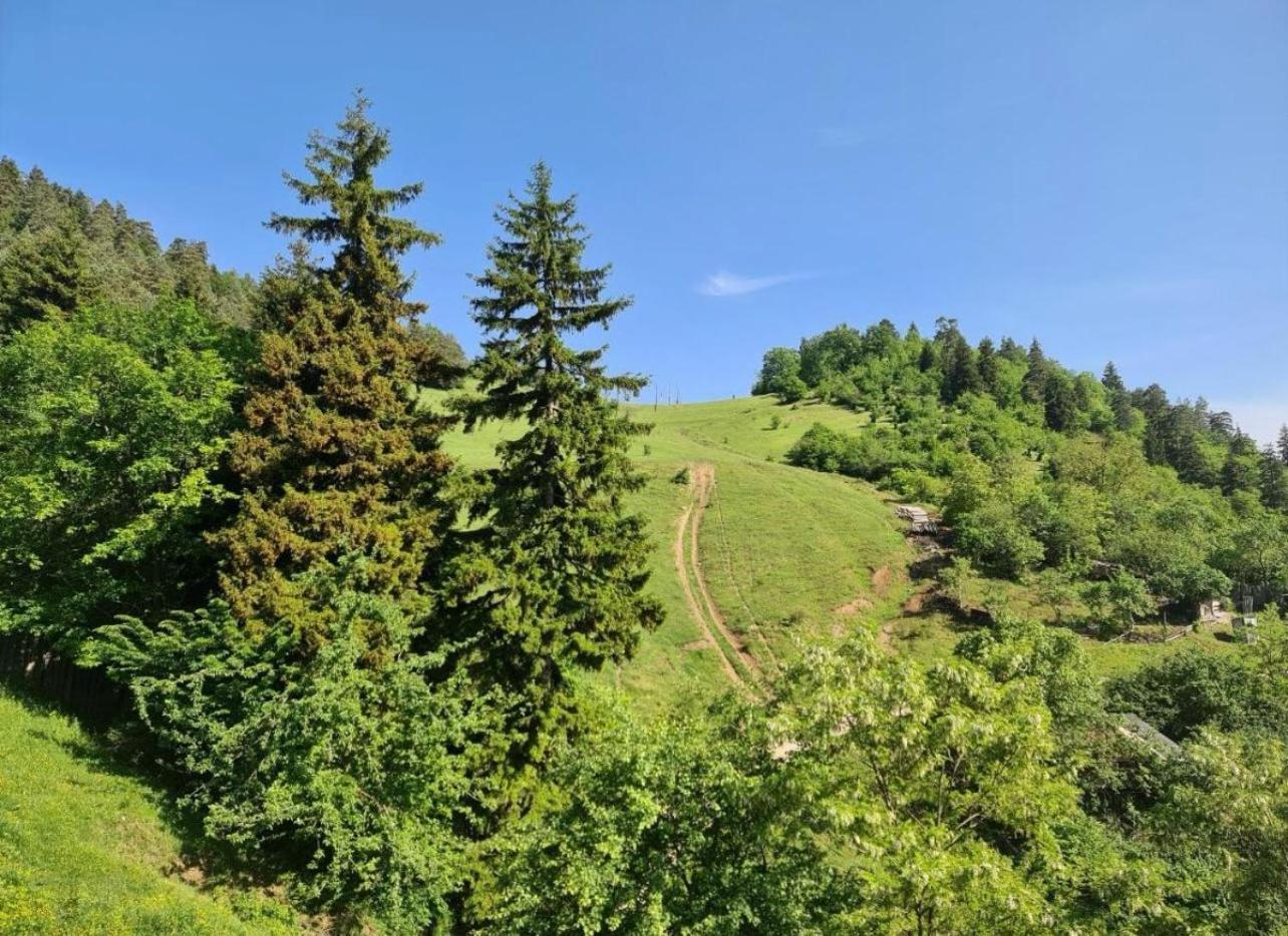Holiday Borjomi Qvibisi 外观 照片