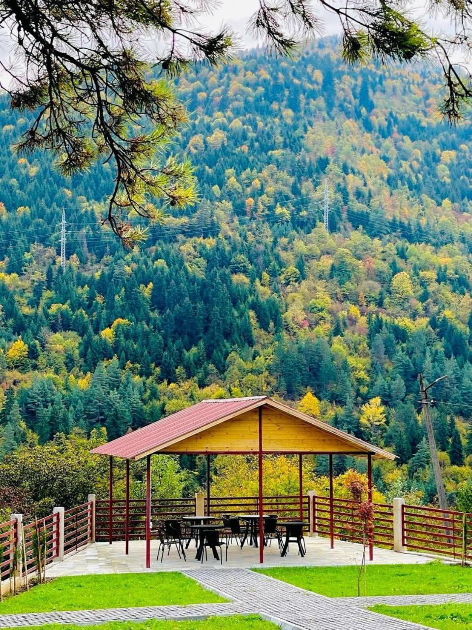 Holiday Borjomi Qvibisi 外观 照片