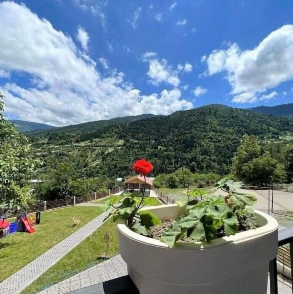 Holiday Borjomi Qvibisi 外观 照片