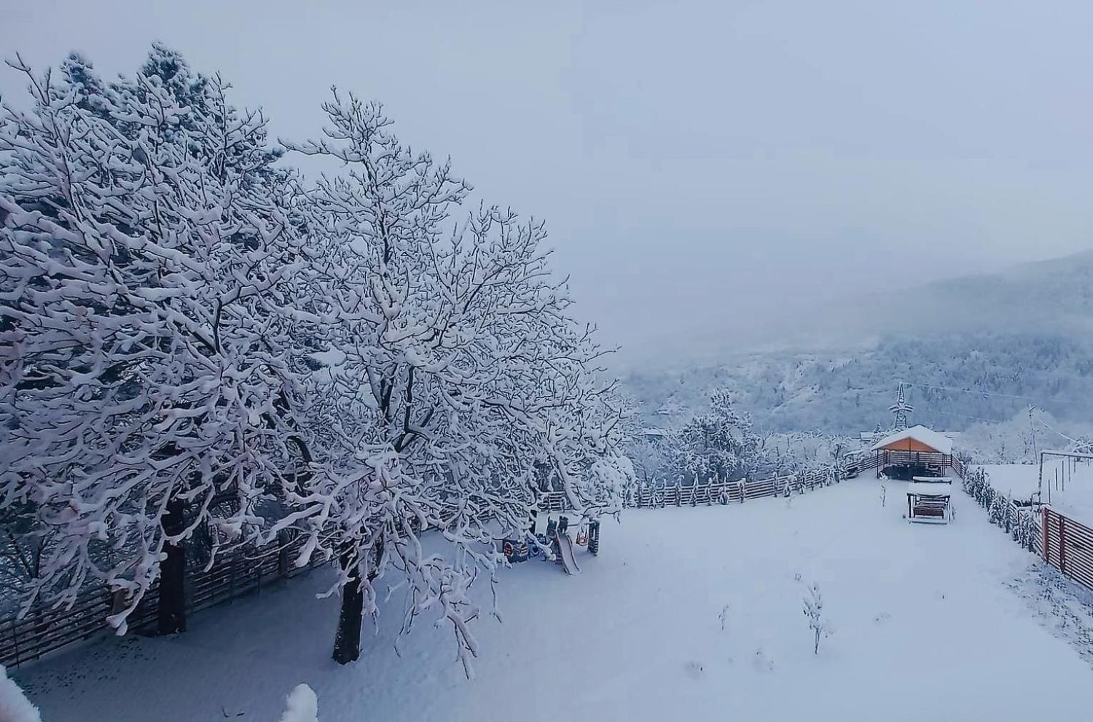 Holiday Borjomi Qvibisi 外观 照片
