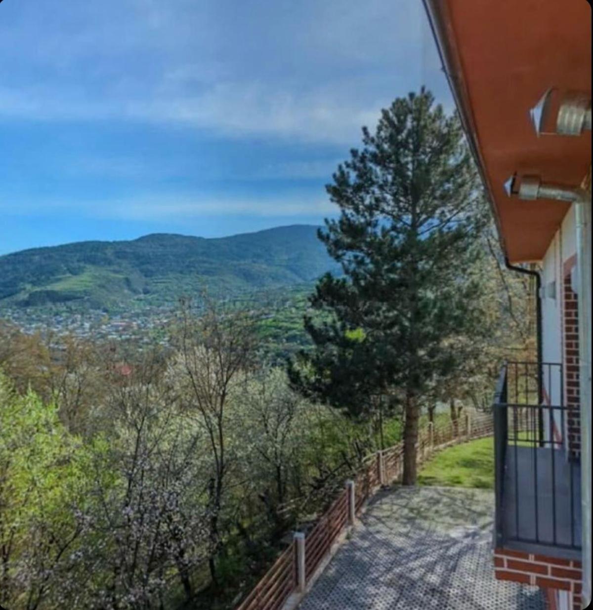 Holiday Borjomi Qvibisi 外观 照片