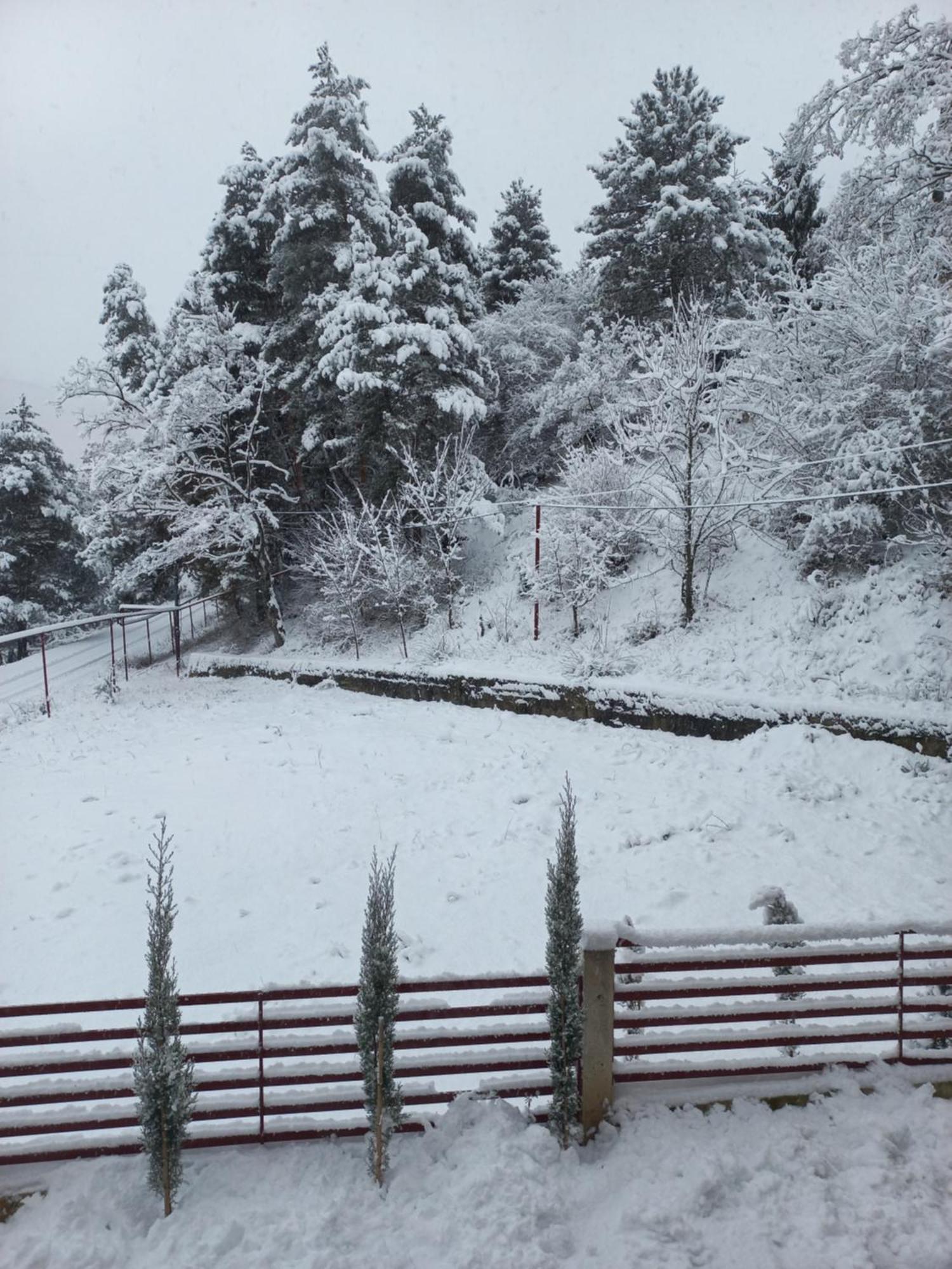 Holiday Borjomi Qvibisi 外观 照片