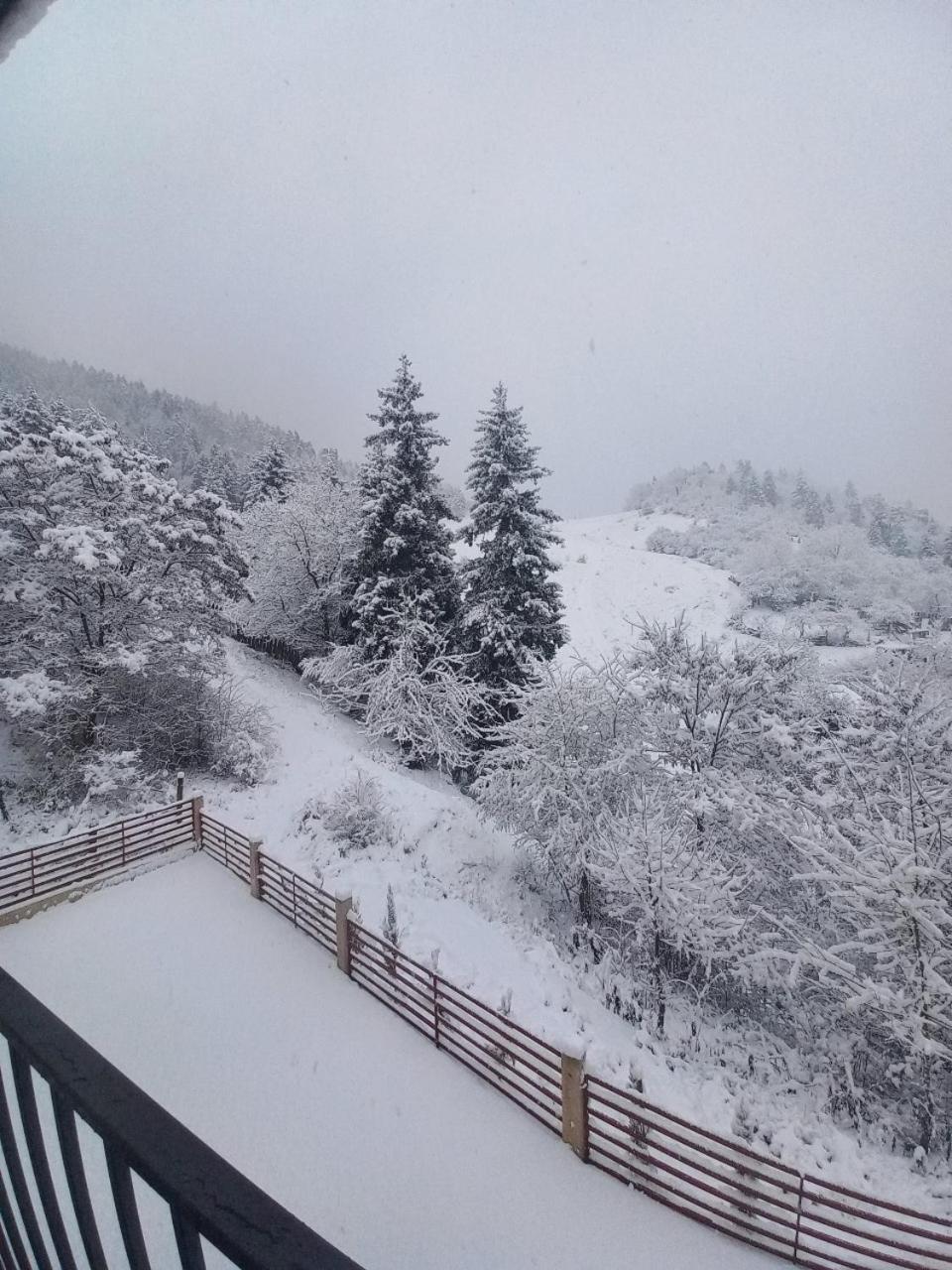 Holiday Borjomi Qvibisi 外观 照片