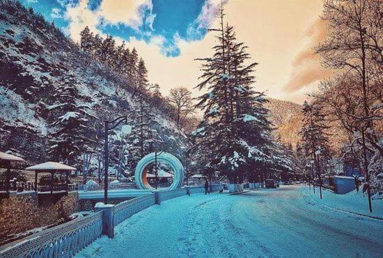 Holiday Borjomi Qvibisi 外观 照片