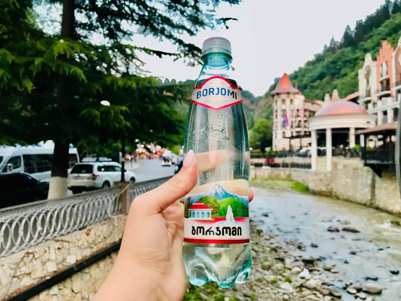 Holiday Borjomi Qvibisi 外观 照片